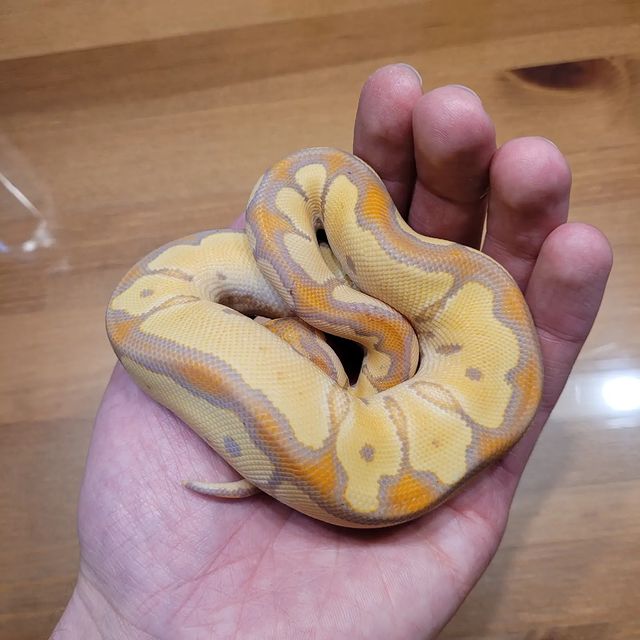 WhatsApp Image 2023-12-13 at 22.53.23(1)