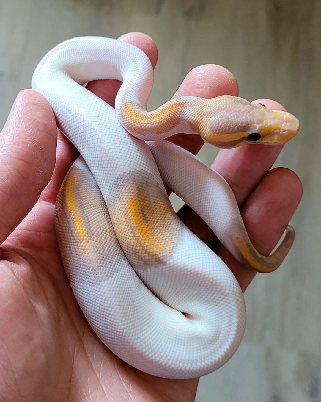 WhatsApp Image 2023-12-13 at 23.30.53