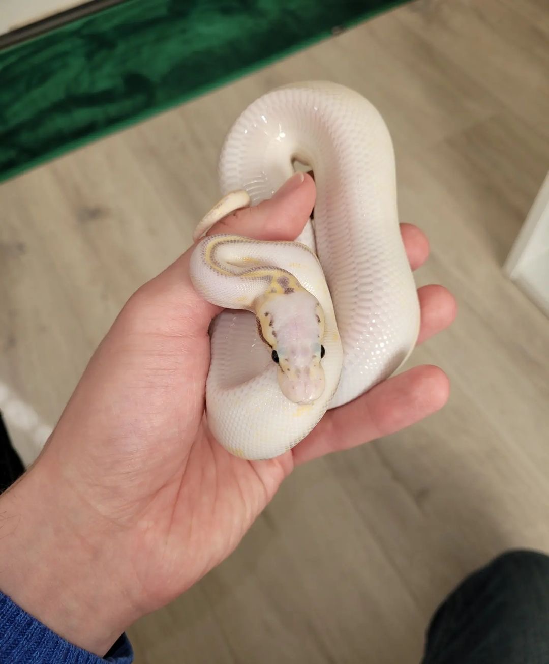 b775ca6f-b3de-4ea6-83fa-af1767531f08