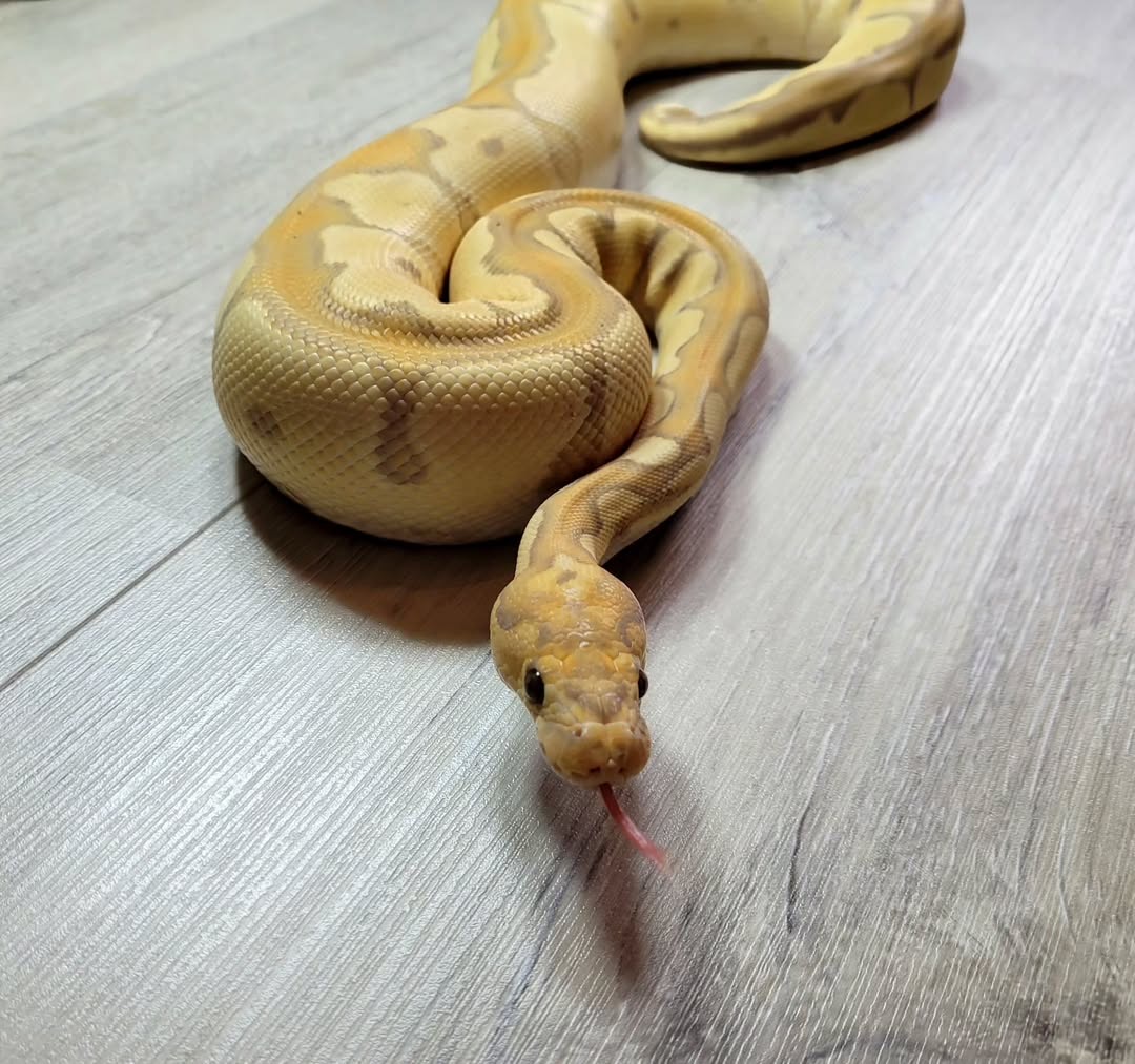 5f1b5453-1c98-4324-8314-374009194386