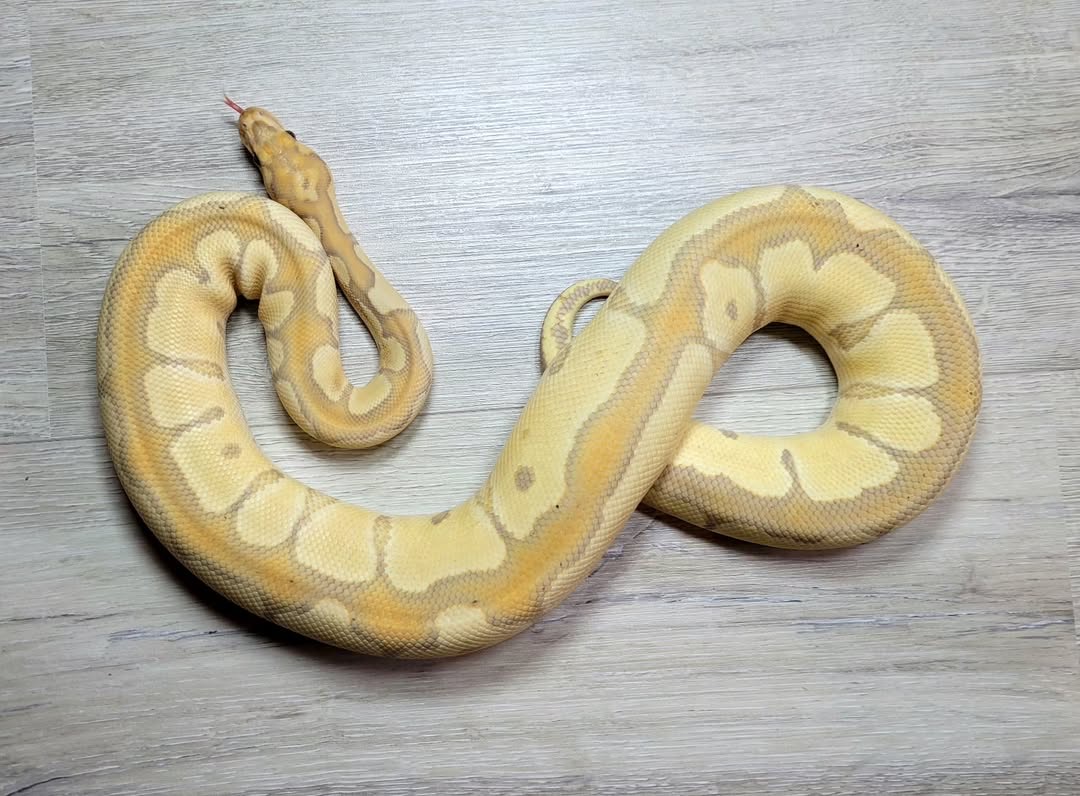 c78ff3c5-c22a-4a9c-8899-02eabde0da5e