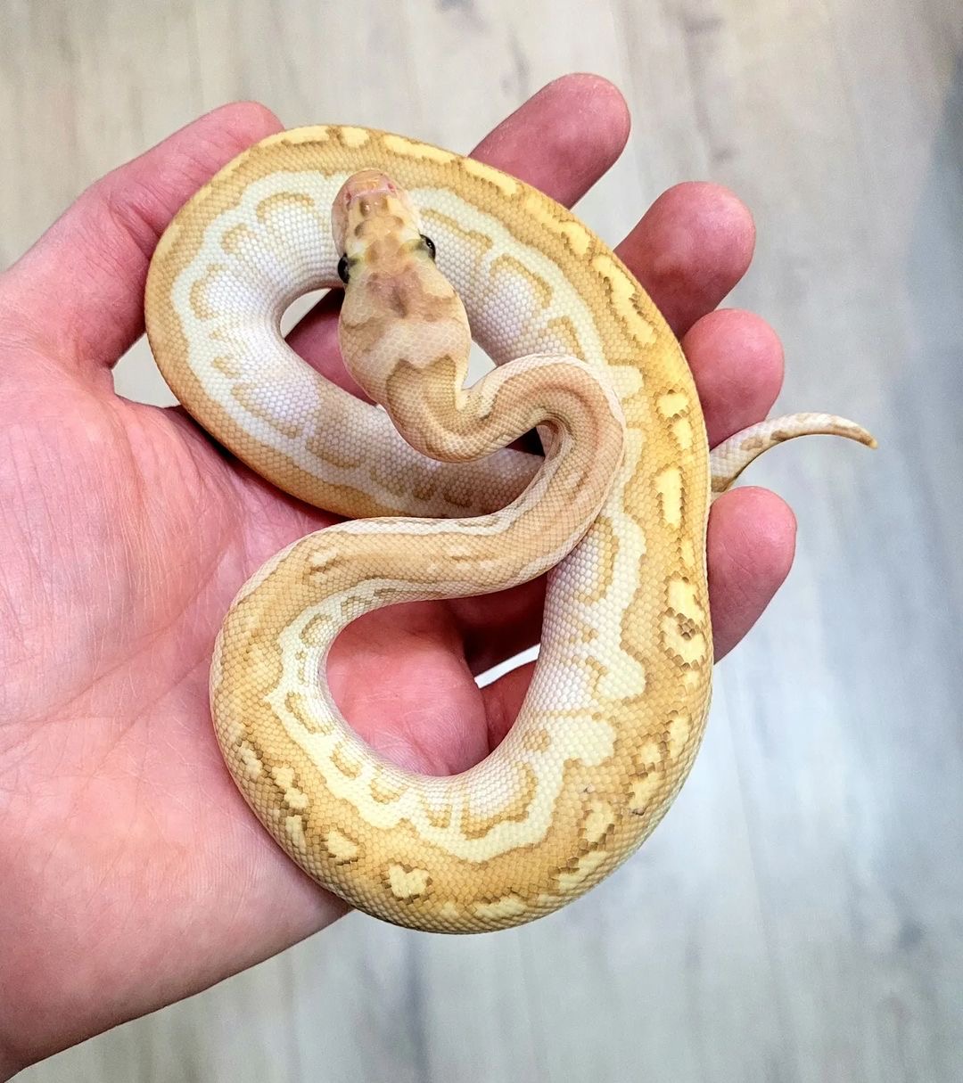 9dd8e742-9beb-4f2b-a82f-14cb44fac73c